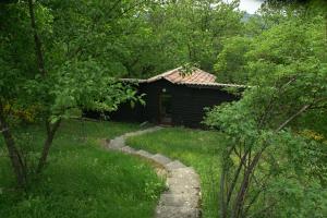 Lodges Les Grangeonnes, gites nature, piscine, sauna pour accueil familiale ou de groupe : photos des chambres