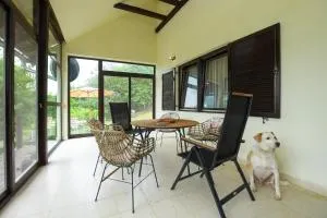 Weekendaya - Şimian