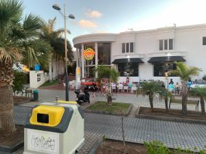 Ocean Beach Paradise Apartment