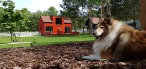 Wioska Radoska - Czerwona Stodoła na mazurach przez cały rok - Sąpłaty