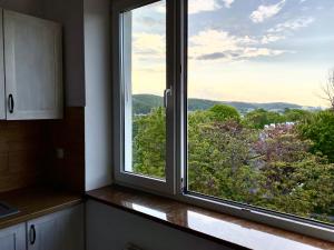 Apartament Hallera