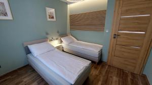 Apartament Wilczy Potok 400m od wyciągu Beskid Sport Arena - Dream Apart