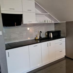 Apartament Wileńska