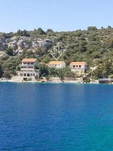 Veronika - 大德尔韦尼克