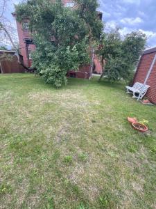 Ferienwohnung am Kirschenbaum