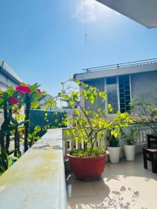 Phòng 3 người có ban công (Triple Room with Balcony)