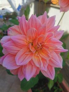 Villa Chiara Solanas img47