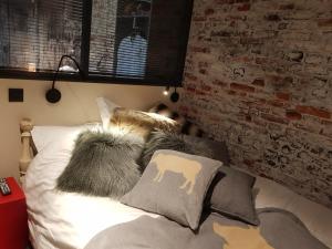 Appartements 1+1 : photos des chambres