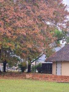 Swallowfield Rondavels