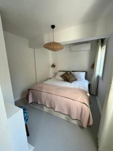 Mel’s Garden House in the heart of the city