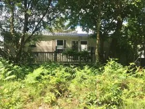 Forest View at Oakdene Forest Park - Leisure Passes Included! - Ringwood