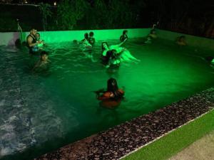Creek Forest - Riverside Boutique Resort