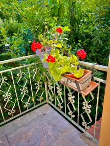 La Fontanella Apartment