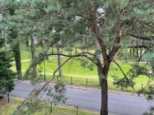 Appartements Le Green face au Golf, Vie panoramique : photos des chambres