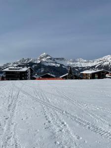 Chalets CHALET FAMILIAL AU PIED DES PISTES ET COMMERCES : photos des chambres