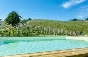 Madama Langa Country House con piscina nelle vigne - Sinio