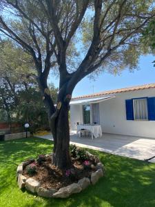 La casa sull’acqua img8