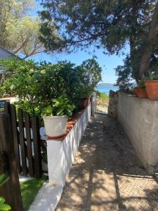 La casa sull’acqua img4