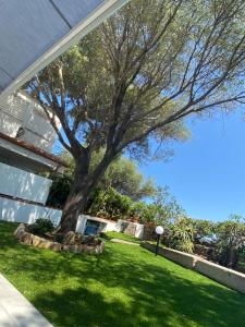 La casa sull’acqua img7