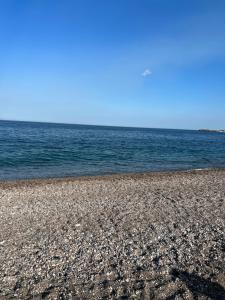 Casa vacanza Tropicana Home