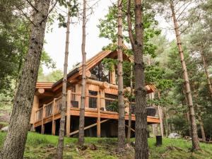 obrázek - Pine Marten Lodge