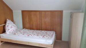 Haus Pinter in Schladming - Dachstein Region