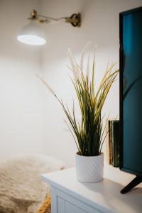 Gyopár Lodge - Gyopárosfürdő