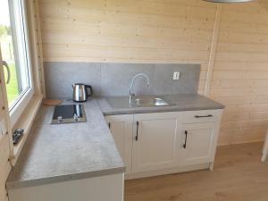 Szara Gąska w Gąskach