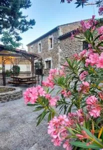 Hôtel du cros d'Auzon - 萨拉瓦