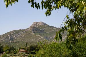 B&B / Chambres d'hotes Les Manaux en Provence : photos des chambres