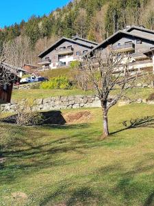 Studio & piscine intérieure, vue Mont DArbois