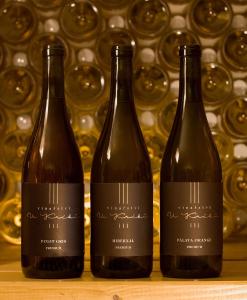 Apartmán vinařství U Krčků