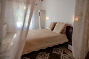 B&B / Chambres d'hotes Les Manaux en Provence : photos des chambres