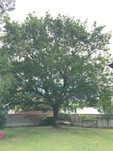 B&B / Chambres d'hotes Haritza : photos des chambres