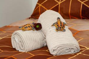 Appartement Baia delle mimose H9 img11