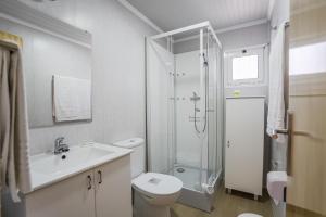 Urban Art by Campigir