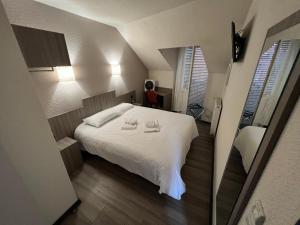 Hotels HOTEL LE FOIRAIL : photos des chambres