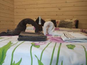 Карпати котедж Анастасія