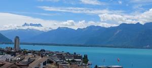La plus belle vue du lac Léman