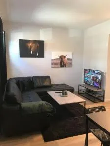 Notodden Sentrum Apartment NO 10 - Notodden