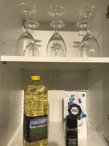 Notodden Sentrum Apartment NO 10