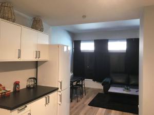 Notodden Sentrum Apartment NO 10