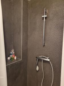 APPARTEMENT CHIC EN HYPER CENTRE DE VANNES