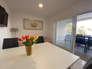 Dorothy Apartman Vir