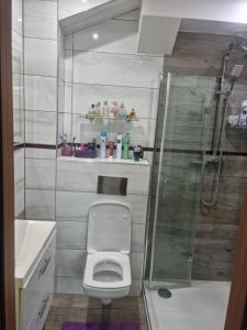 Apartament Baszta Kaszana