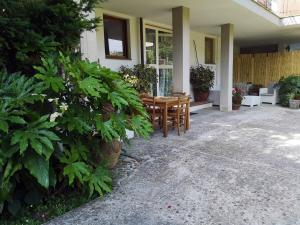 Parte di casa con giardino e piscina