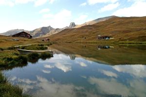 Auberges Gite Chalet La Vie Sauvage : photos des chambres