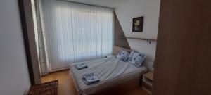 Black Sea Apartments