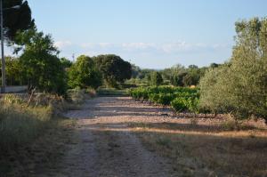 Villas Canet Galonbas : photos des chambres