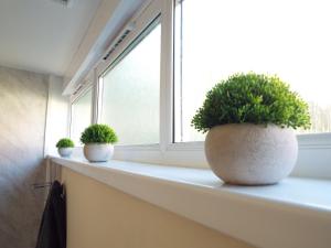 Cosy Cottage In Cardigan